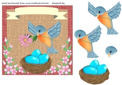 Spring blue bird card front