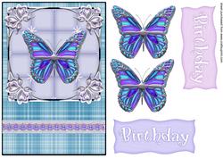 Butterfly Quick Card Front