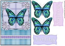 Butterfly Quick Card Front 2