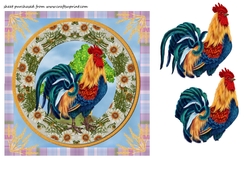 Rooster card front