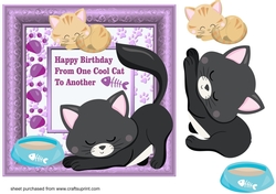 Cat themed birthday card front