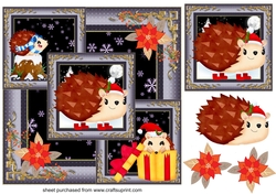 All about the hoggies Christmas card front