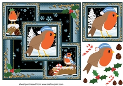 All about the robins framed Christmas card front