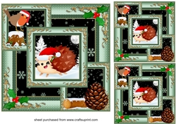 3 All about the hedgehog and robin card fronts/toppers