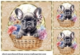 3 Floral pup in basket card front/toppers 8