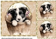 3 Floral pup in basket card front/toppers 10