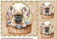 3 Floral pup in basket card front/toppers 12
