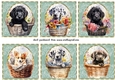 6 Floral pup in basket toppers 9