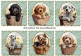 6 Floral pup in basket toppers 10