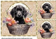 3 Floral pup in basket card front/toppers 13
