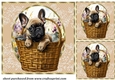 3 Floral pup in basket card front/toppers 16