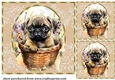 3 Floral pup in basket card front/toppers 17