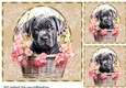 3 Floral pup in basket card front/toppers 22