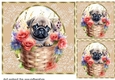 3 Floral pup in basket card front/toppers 23