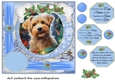 All about the Christmas pup card front 13