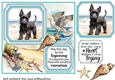Scottish terrier on the beach card front (new) 2