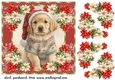 Christmas pup in jumper card front 4