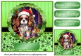 Christmas dog in hat card front 6