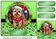 Christmas dog in hat card front 16