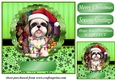 Christmas dog in hat card front 26