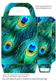 Peacock feather gift bag (n) 14