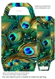 Peacock feather gift bag (n) 17