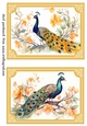 2 Peacock topper/card fronts in citrus frame 2