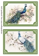 2 Peacock topper/card fronts in green frame 1