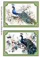 2 Peacock topper/card fronts in green frame 2
