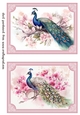 2 Peacock topper/card fronts in pink frame 1