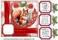Red Christmas squirrel card front