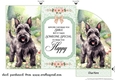 Scottish terrier in garden money/voucher wallet (with verse)6