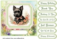 Vintage floral Scottish terrier card front 1