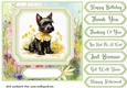Vintage floral Scottish terrier card front 2