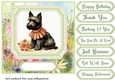 Vintage floral Scottish terrier card front 4