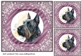 3 Purple and silver Scottish terrier card fronts/toppers 10