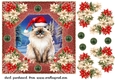 Christmas cat card front 17