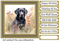 Floral black Labrador card front 2