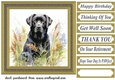 Floral black Labrador card front 3