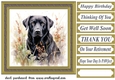 Floral black Labrador card front 4