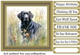 Floral black Labrador card front 6