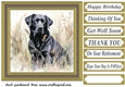 Floral black Labrador card front 7