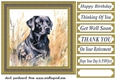 Floral black Labrador card front 8