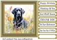 Floral black Labrador card front 9