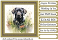 Floral black Labrador card front 10