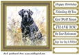 Floral black Labrador card front 11