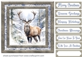 Framed Christmas stag card front 2