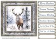 Framed Christmas stag card front 4