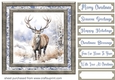 Framed Christmas stag card front 8