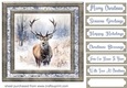 Framed Christmas stag card front 9
